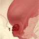 Illustration for article titled Need, Ahem, A Hand?